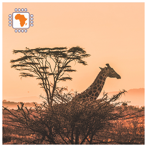 Carte SIM Data Afrique 3Go (15 jours)