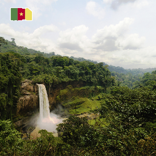 Daten-SIM-Karte Kamerun - 10 GB