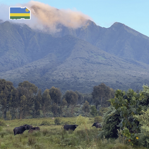 Rwanda opwaarderen 10 GB (30 dagen)