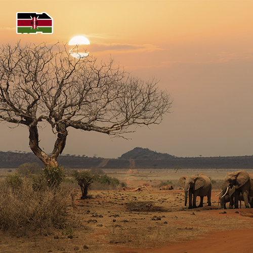 [SIM_8988_KENYA_1GB_7D] Data Simkaart Kenia - 1GB