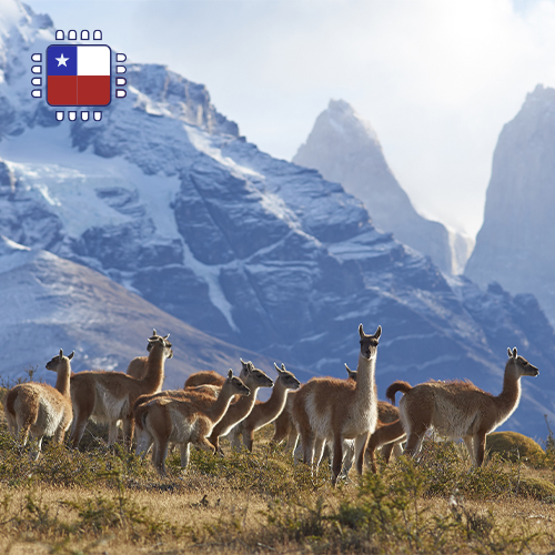 [WW_901O_STACK_ONEOFF_CHILE_1GB_7D] eSIM Chile 1GB (7 days)