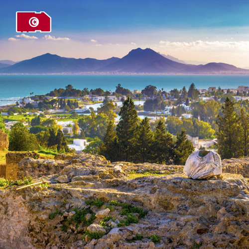 [WW_901O_STACK_ONEOFF_TUNISIA_3GB_15D] SIM Dati Tunisia 3GB (15 giorni)