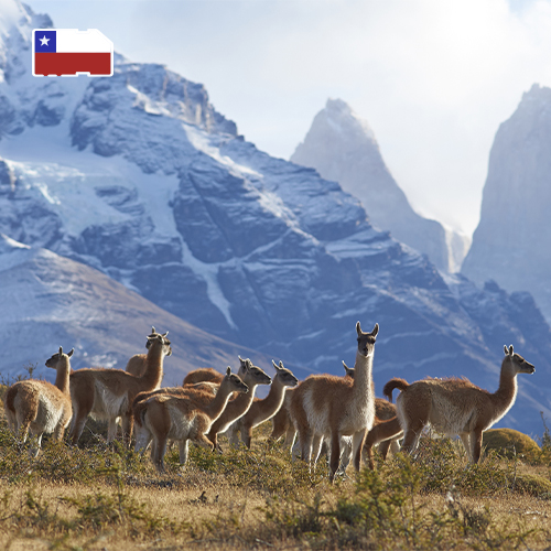 [WW_901O_STACK_ONEOFF_CHILE_3GB_15D] Data SIM Card Chile 3GB (15 days)